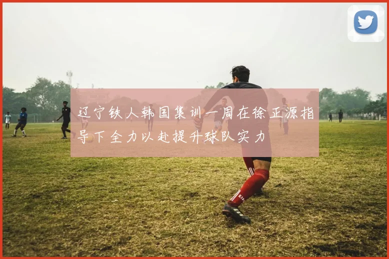 辽宁铁人韩国集训一周在徐正源指导下全力以赴提升球队实力